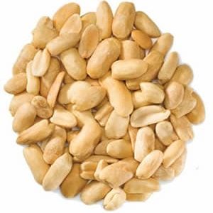 Bird Seed
