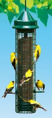 brome finch feeder