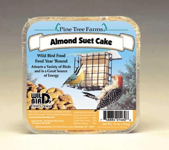 Almond Cake - Eating Bird Food