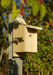 Chickadee Houses