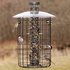 Caged Seed Tube Bird Feeders