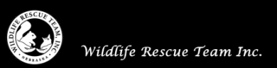 a black banner that reads Wildlife Rescue Team Inc. To the left of there is a circular image with two hands. One handholds a squirrel and the other a bird with an open mouth